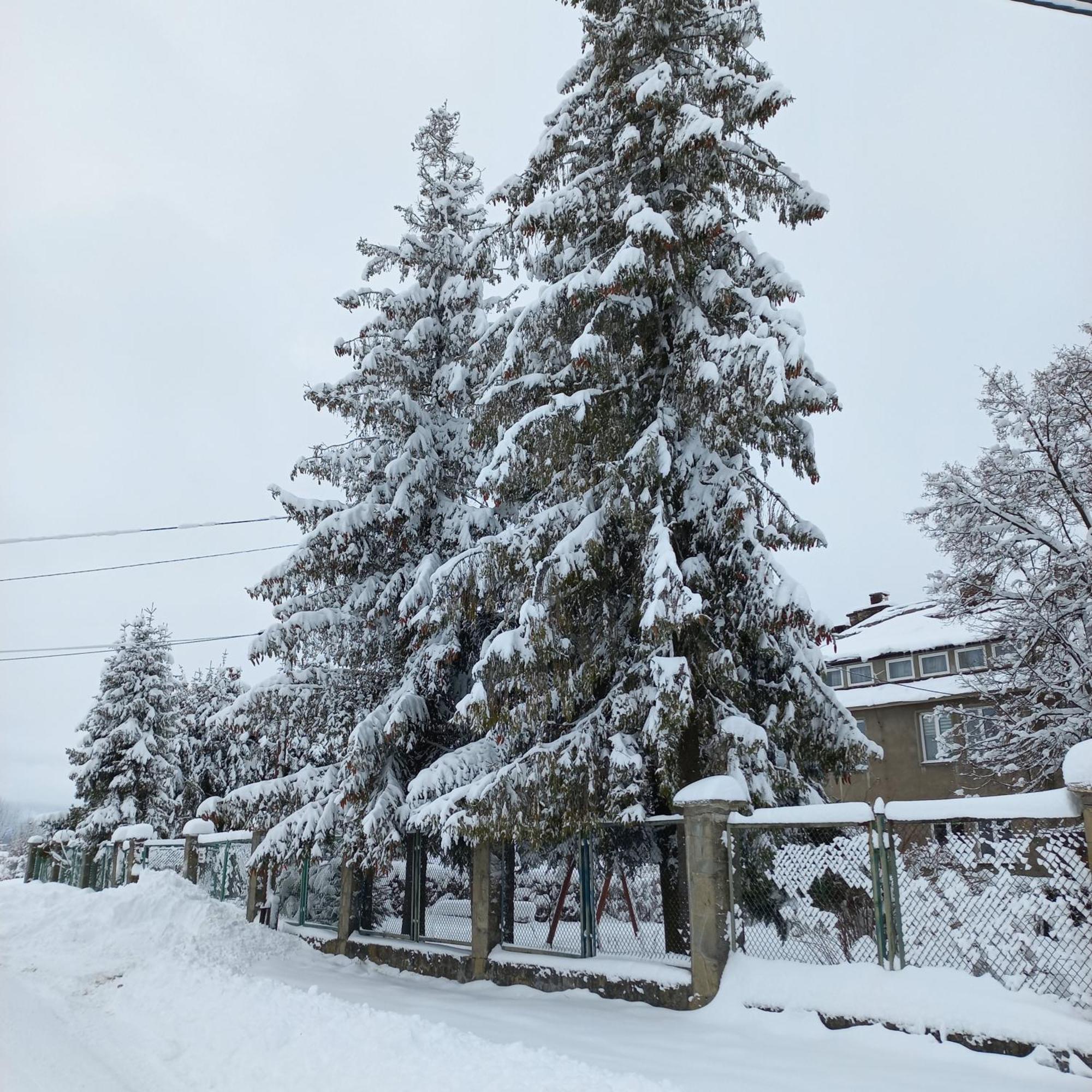 Apartamenty na Szlaku Czarny Dunajec Bagian luar foto